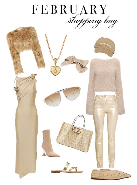 My February Shopping Bag